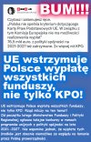 Kolejny piękny dzień w państwie pisonów