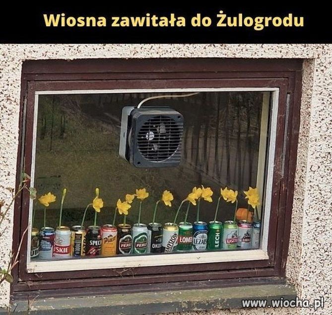 Wiosna, panie sierżancie
