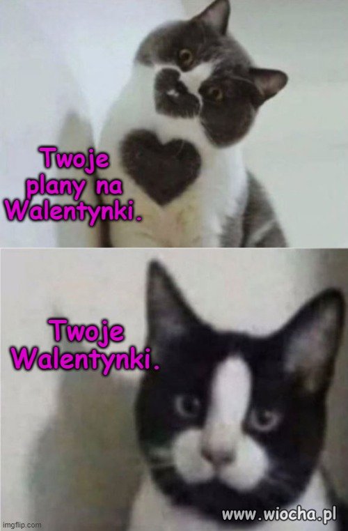 Jutro Walentynki