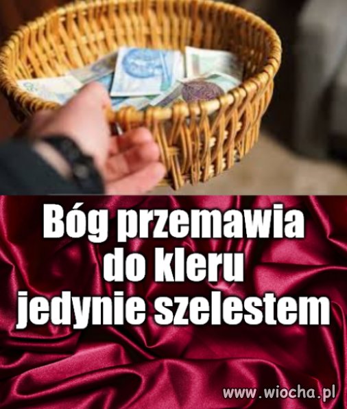 Porady ciotki Włady