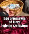Porady ciotki Włady