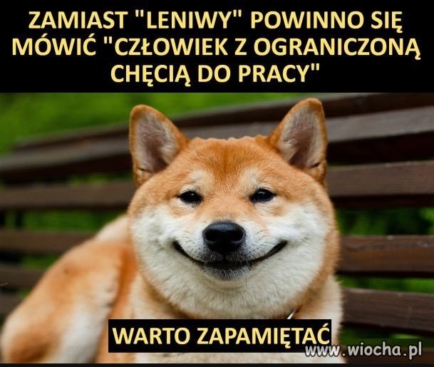 Warto zapamiętać