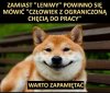 Warto zapamiętać