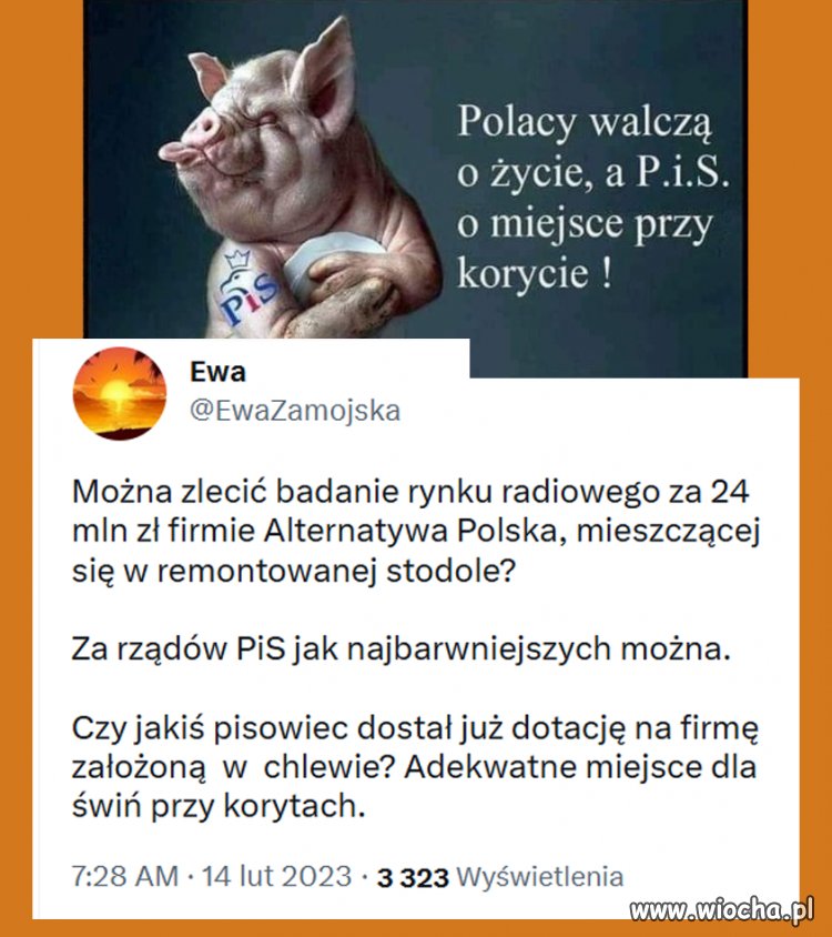 Kolejny przewał. Kolejny złodziej. 