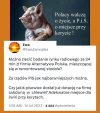 Kolejny przewał. Kolejny złodziej. 