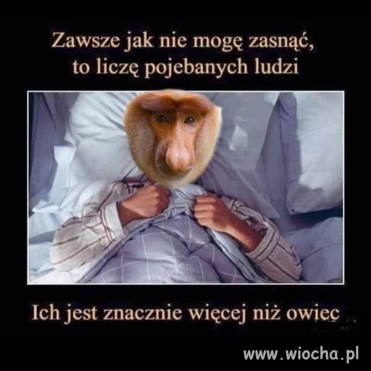 Można liczyć pisiorów