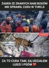 Prawe i sukienkowe wpadają we wściekłość i konwulsje