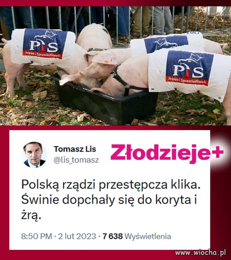  Zawsze kradli to fakt