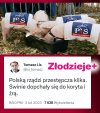  Zawsze kradli to fakt
