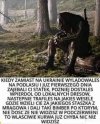 Predator - Podlasie  0:1