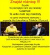 PiS potrafi tylko kłamać i kraść, taki program polityczny!