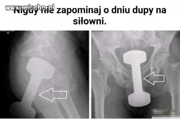 Niezapominajka