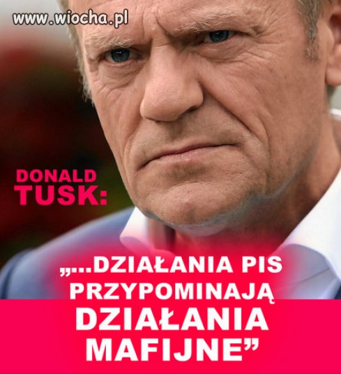 Kliknij, jeśli Tusk ma rację.