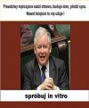 Kaczyński może in vitro dasz radę 