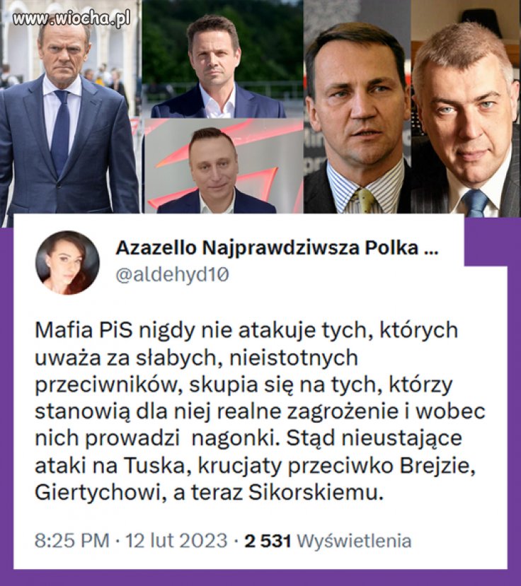 Tak działa mafia pisowska