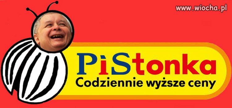 Wybory idą
