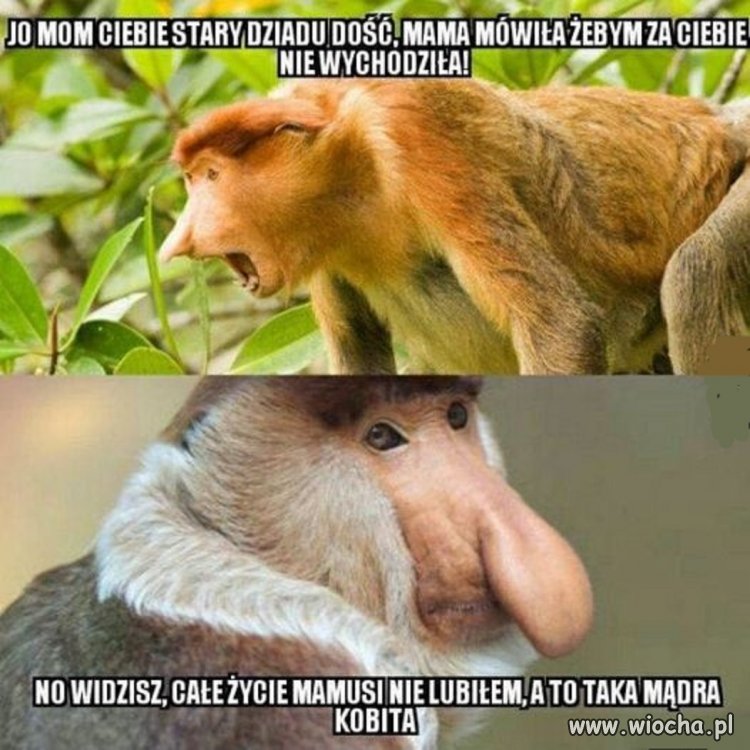 Z życia