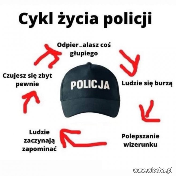 Ale wkoło jest wesoło...