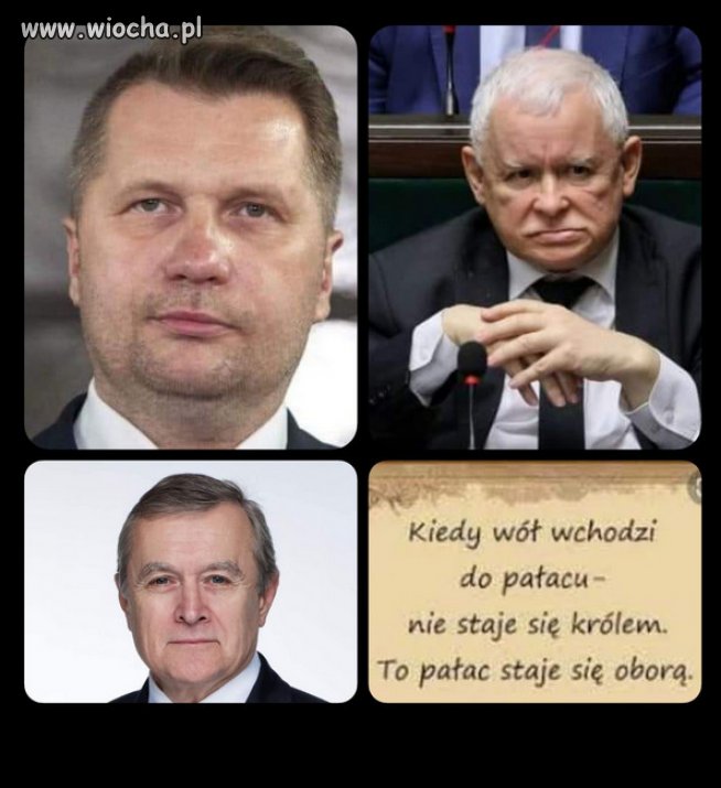 Gdzie teraz nie spojżeć, wszędzie obora PiSu...