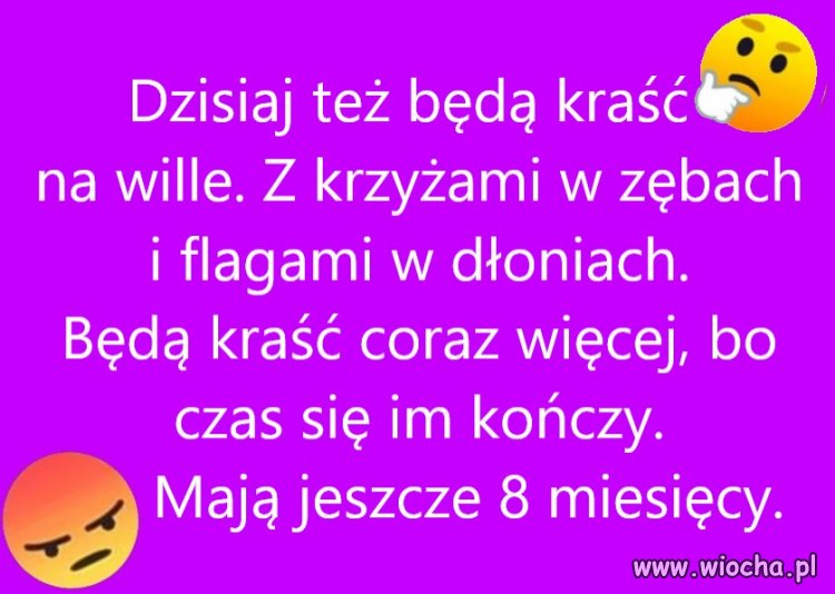 ''Ośmiorniczki'' nabrały rozmiarów gigantów,