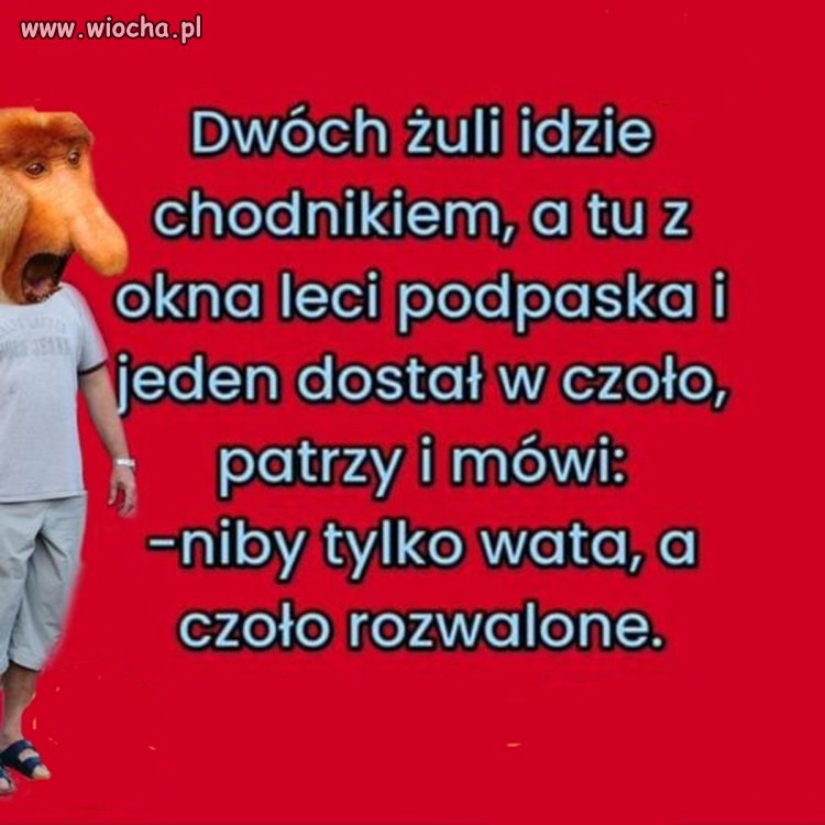 Jak pech to pech