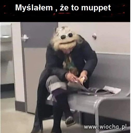 Ciekawe