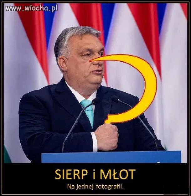 Jak tam pisiory.  Budapeszt w Warszawie aktualny??