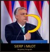Jak tam pisiory.  Budapeszt w Warszawie aktualny??