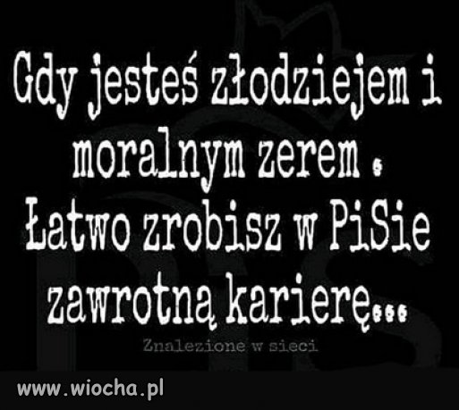 898 AFER PiS i Solidarnej Polski, wszyscy niewinni
