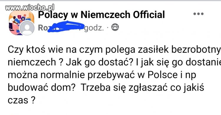 Polka patolka