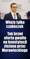 PiS i KK to sutenerzy Polski