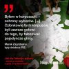 W fałszerstwie są najlepsi