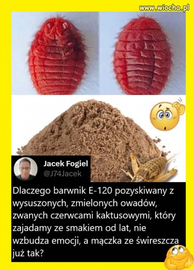 Bo ludzie nie wiedzą co to koszenila.