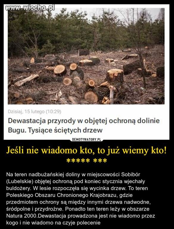 Wiecznie głodni