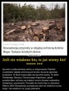 Wiecznie głodni