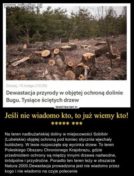 Wiecznie głodni