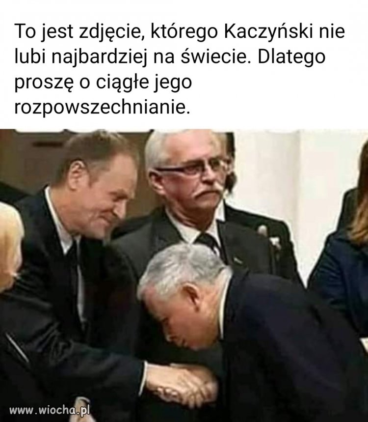 O mój królu złoty 