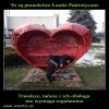 Tylko ile PiSiory na tym zarobią?