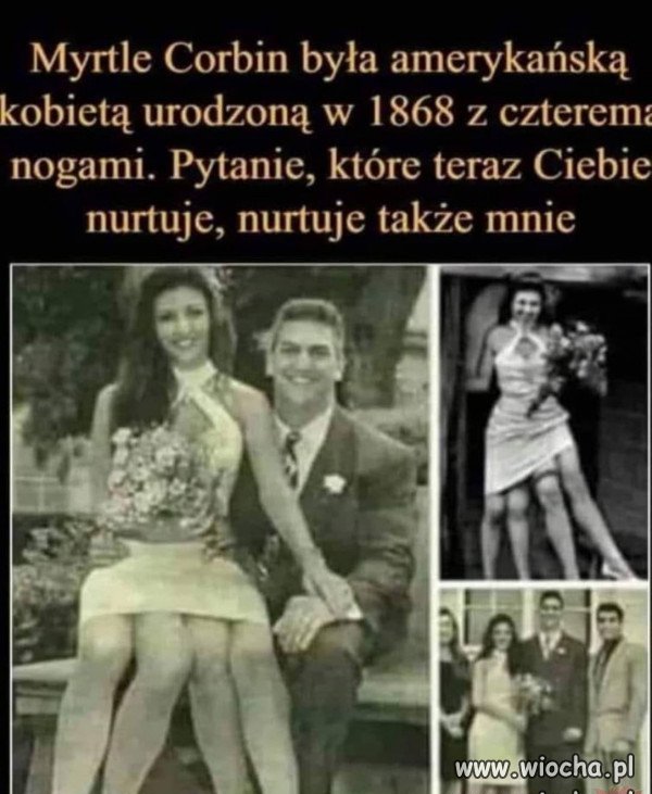 Ktoś zna odpowiedź?