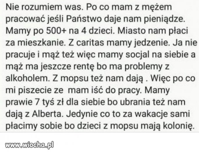 "Betonowy Elektorat PiSu"...