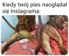 Raczej "suczka"