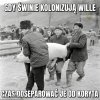 Czas świnie odseparować od koryta