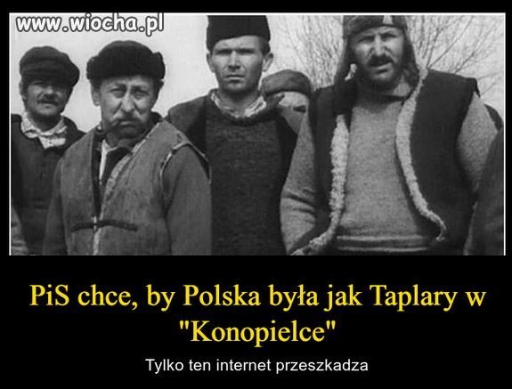 Pieczarkarnia pis