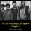 Pieczarkarnia pis