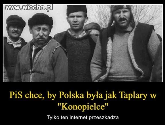 Pieczarkarnia pis