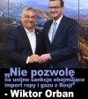 Pisowcy to Wasz kolega .