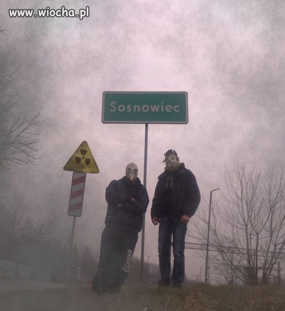 Reklama Sosnowca.