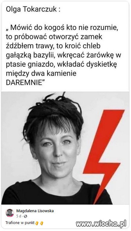 Elektorat PiSu nie potrafi czytać ze zrozumieniem.