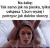 Taka ciekawostka