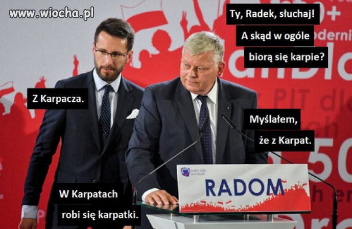 Najbardziej kumaci Kaczyńskiego...
